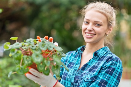 Healthy lawn care in Palmers Green with neat grass and garden borders