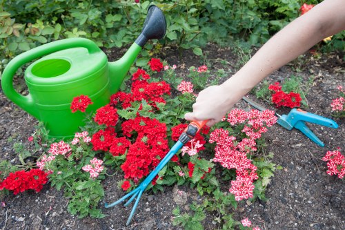 Gardeners Palmers Green modern slavery policy introduction
