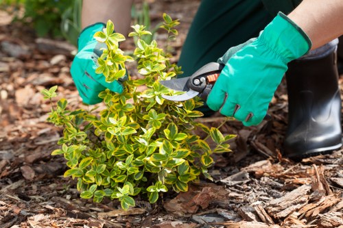 Seasonal garden tidy-up pricing for a typical Palmers Green home