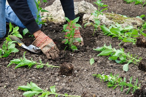 Load-based and cubic-yard quote example for garden waste removal