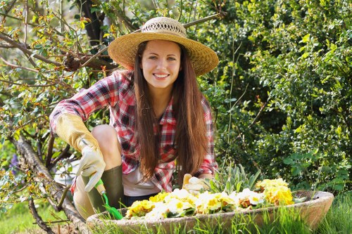 Professional lawn care in Palmers Green for greener, denser grass