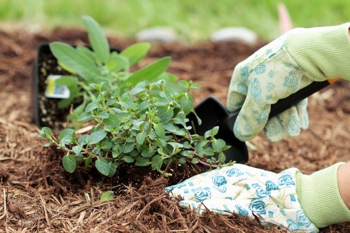 Professional garden maintenance and planting in Palmers Green