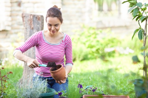 Seasonal garden maintenance in Palmers Green