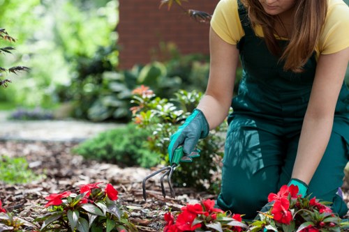 Final terms and conditions section for gardening services