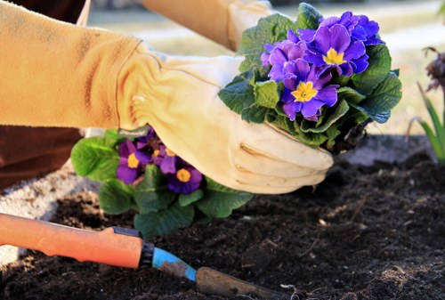 Local transfer station handling green waste and recoverable materials