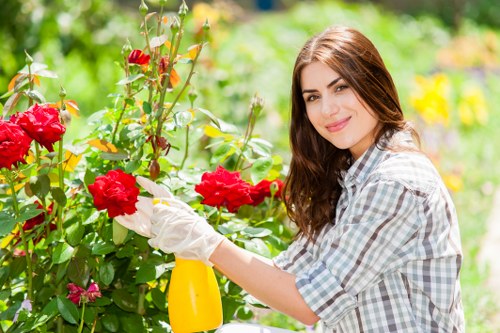 Hard landscaping features for a Palmers Green outdoor space