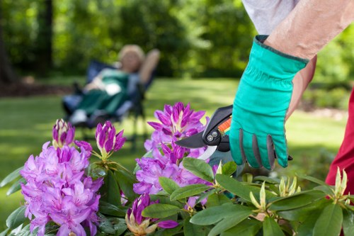 Seasonal planting and tidy borders in a Palmers Green outdoor space