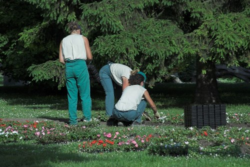 Seasonal lawn treatment in Palmers Green with healthy garden turf