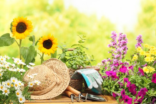 Garden maintenance paperwork and quotation review