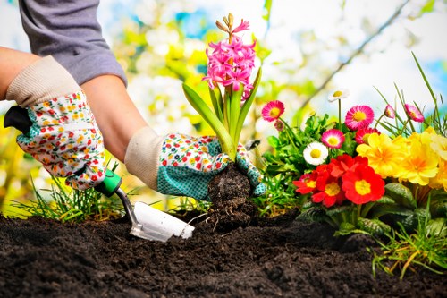 About us gardeners Palmers Green team working on a landscaped garden