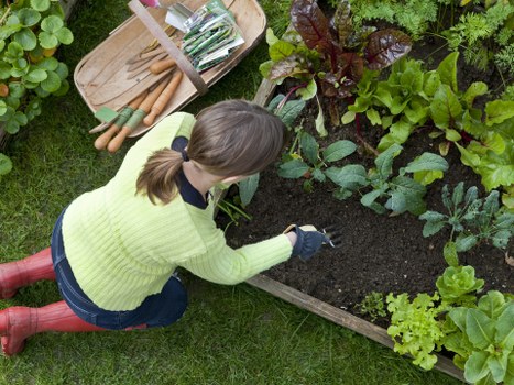 Palmers Green garden landscaping with planted borders and patio areas