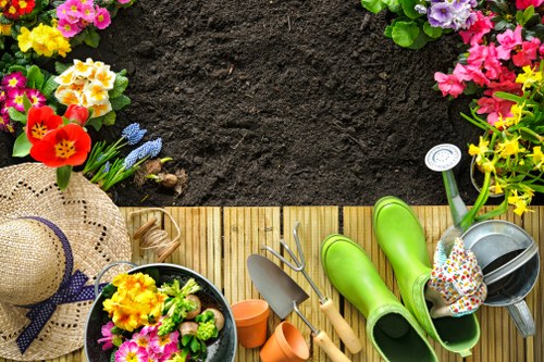 Lawn and border care by gardeners in Palmers Green