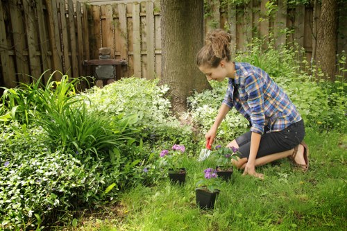 Local gardeners trimming hedges and caring for a Palmers Green garden