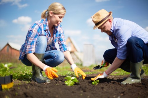 Professional landscaping results for a Palmers Green home