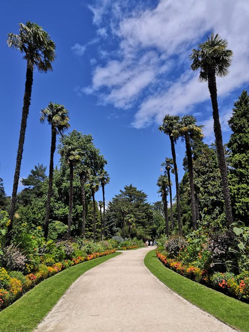 A wide, curved pathway in Broomfield Park lined with neatly trimmed grass edges and vibrant flower beds filled with a variety of colorful flowering plants and green foliage. Tall, slender palm trees w